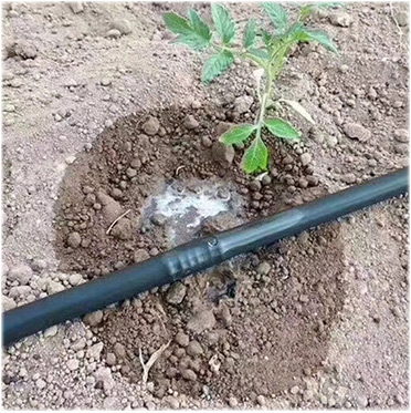 Drip Line